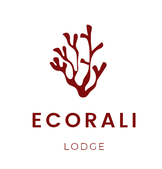 Logo Ecorali sinFondo e1657494756263
