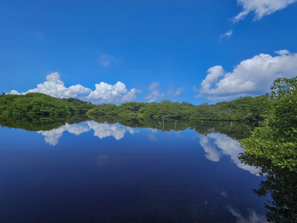 caminatas ecologicas en isla fuerte