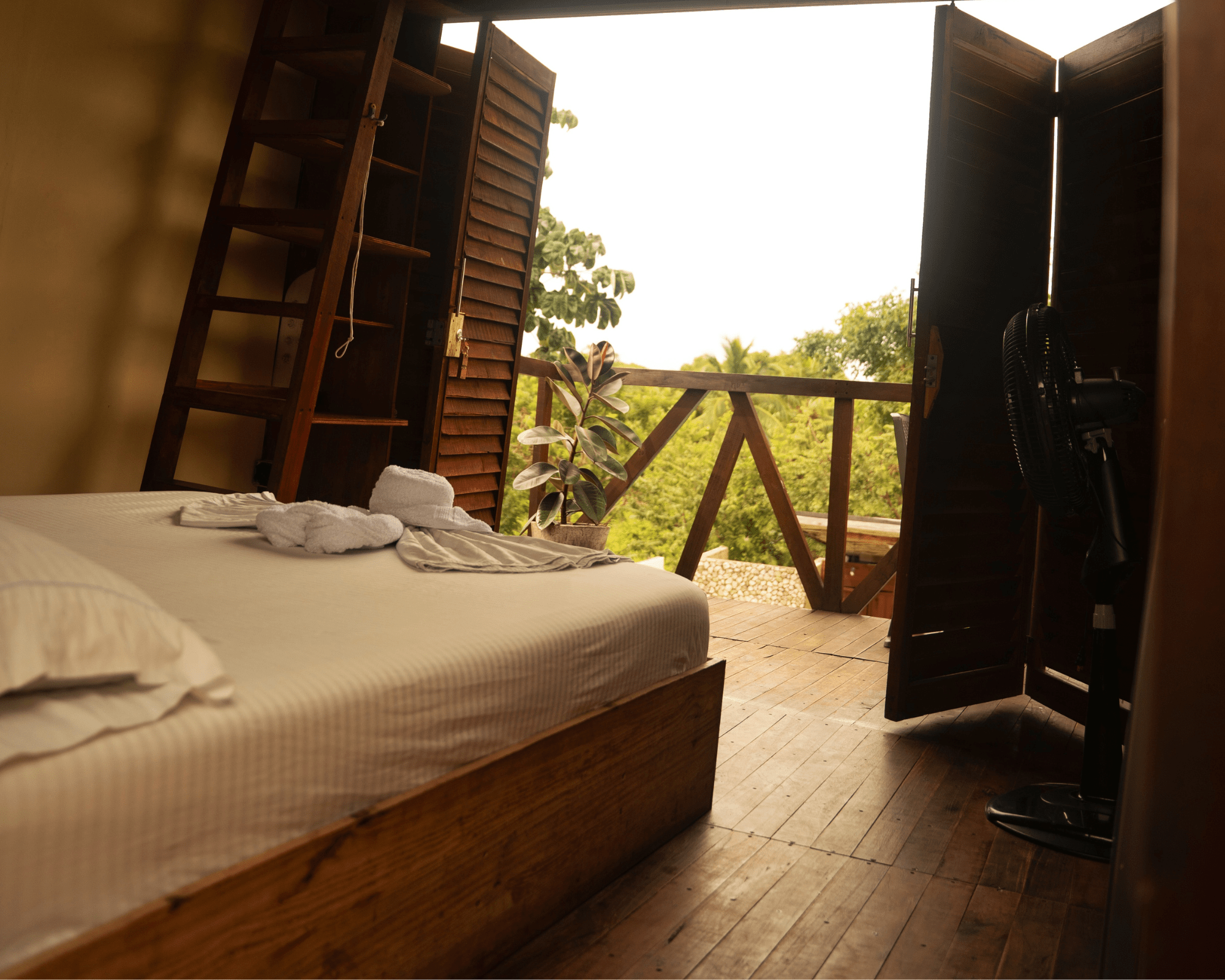 Diseño sin título (22)