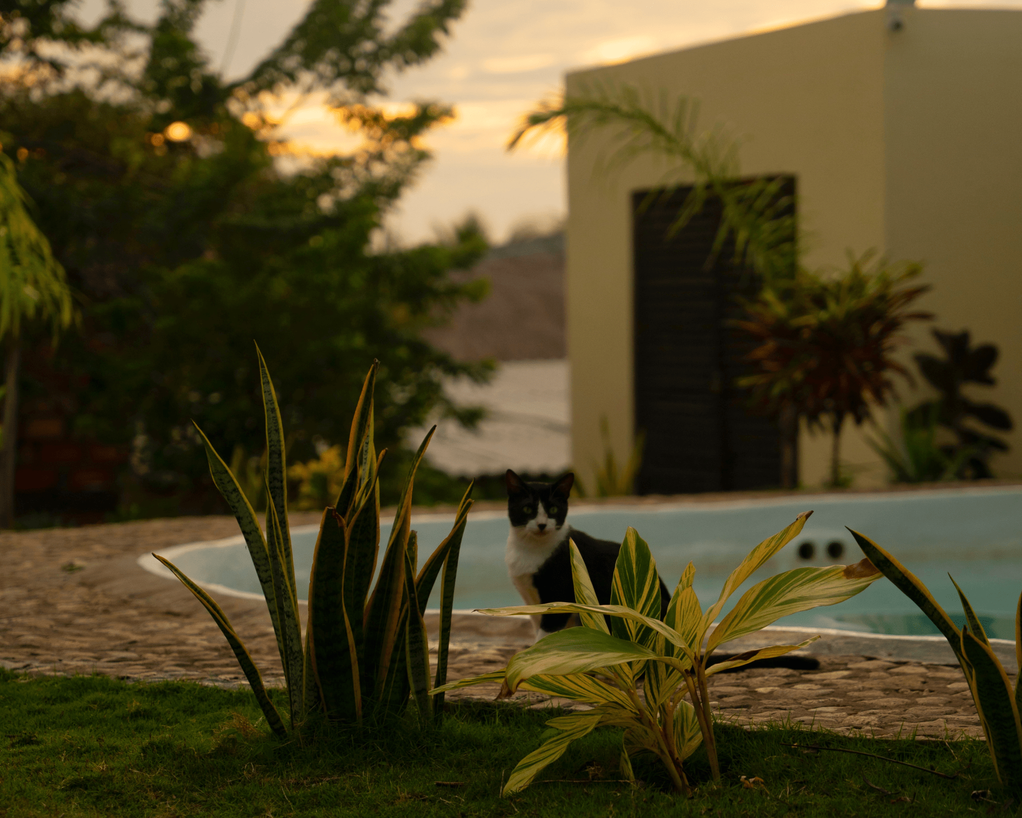 Diseño sin título (25)