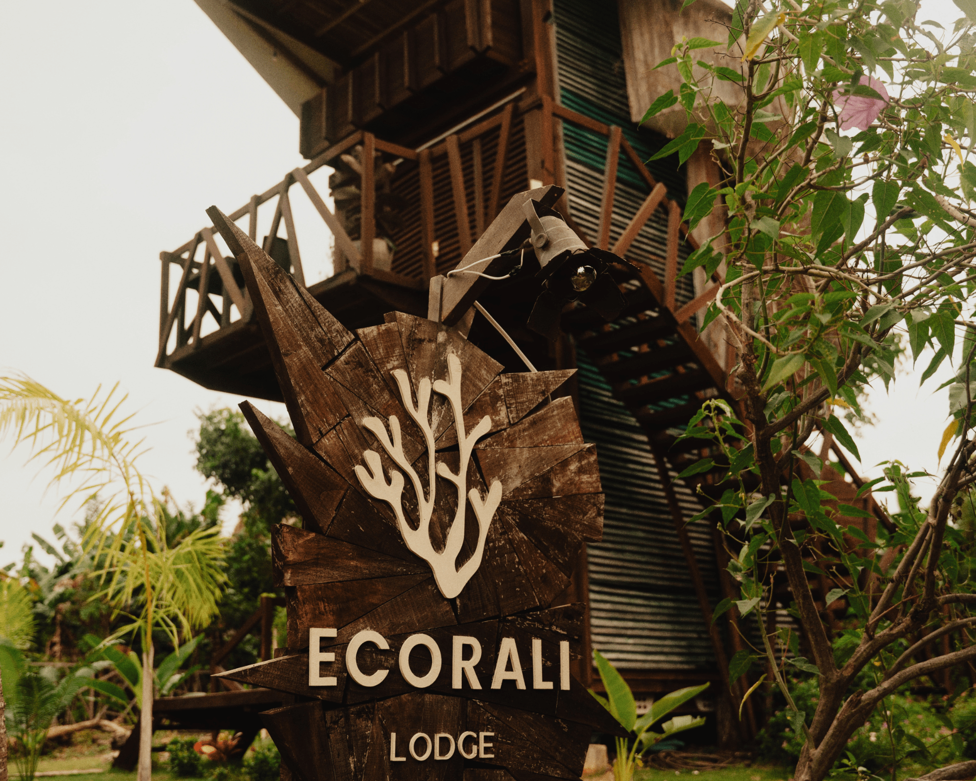 Diseño sin título (26)