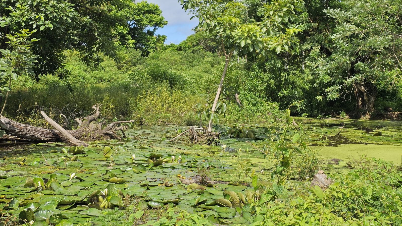 f8245b1c-1fa6-4564-8b06-6ab2ec06da53